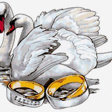 свадебная тематика