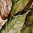 Предпросмотр схемы вышивки «каштаны» (№772518)