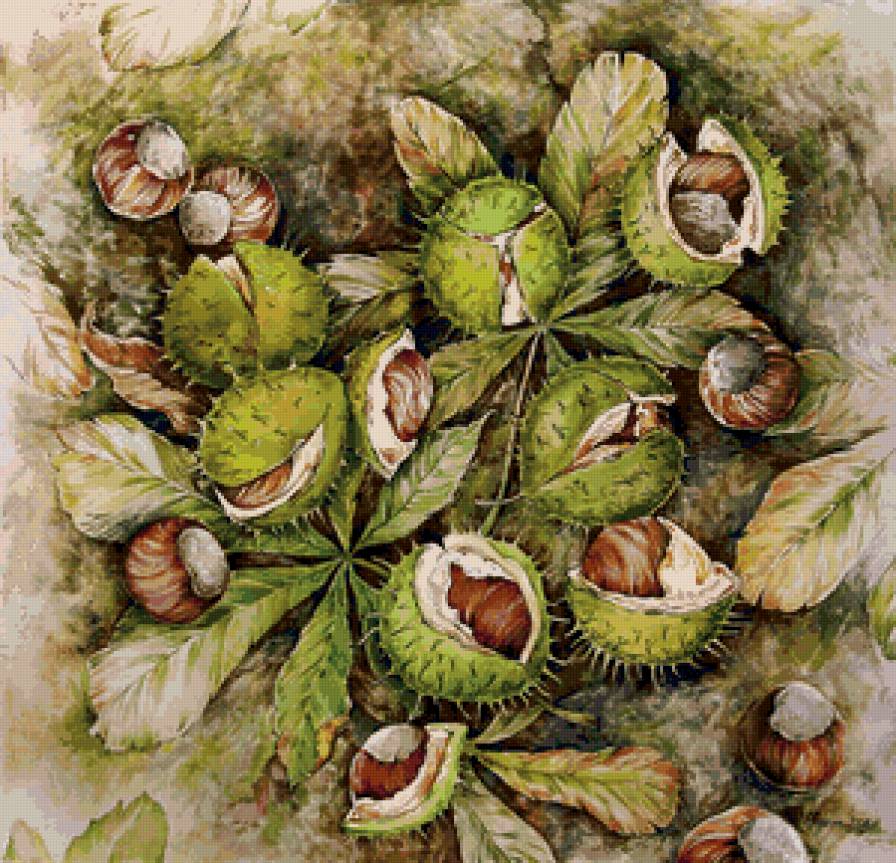 каштаны - каштаны - предпросмотр