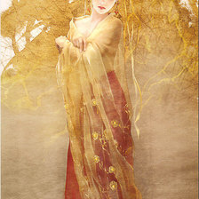 Схема вышивки «китайская красавица»