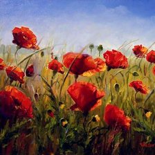 Схема вышивки «маки»