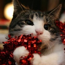 Схема вышивки «кот и мишура»