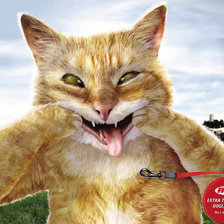 Схема вышивки «дразнилка»