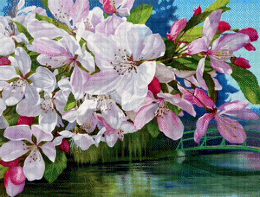 цветущая ветка - предпросмотр