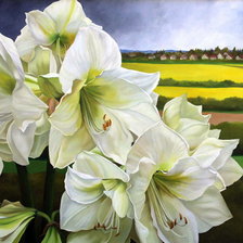 Схема вышивки «цветы»