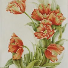 Схема вышивки «маки»