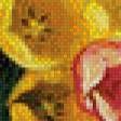 Предпросмотр схемы вышивки «тюльпаны» (№772953)