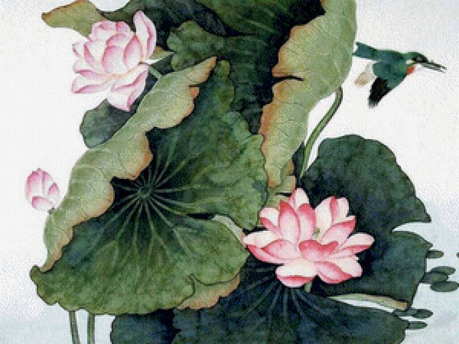 лотосы - предпросмотр