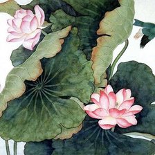 Схема вышивки «лотосы»