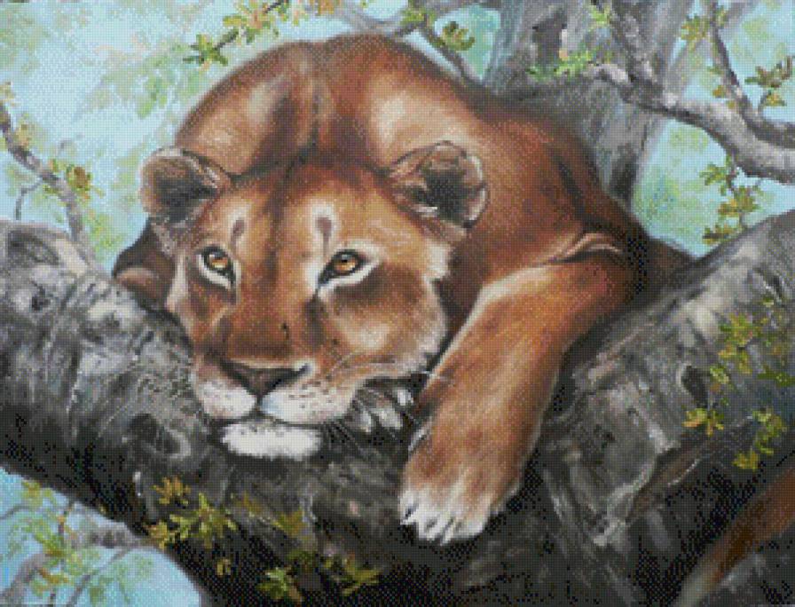 отдых - предпросмотр