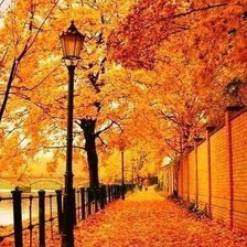 Схема вышивки «№773245»