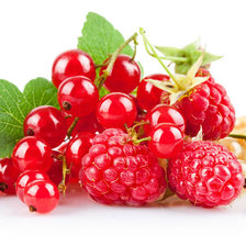 Схема вышивки «№773292»