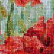 Предпросмотр схемы вышивки «маки» (№773317)