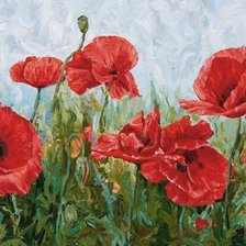 Схема вышивки «маки»