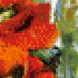 Предпросмотр схемы вышивки «маки» (№773320)