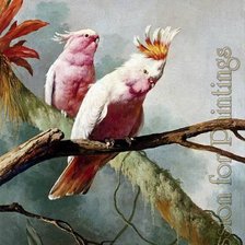 Схема вышивки «попугаи»