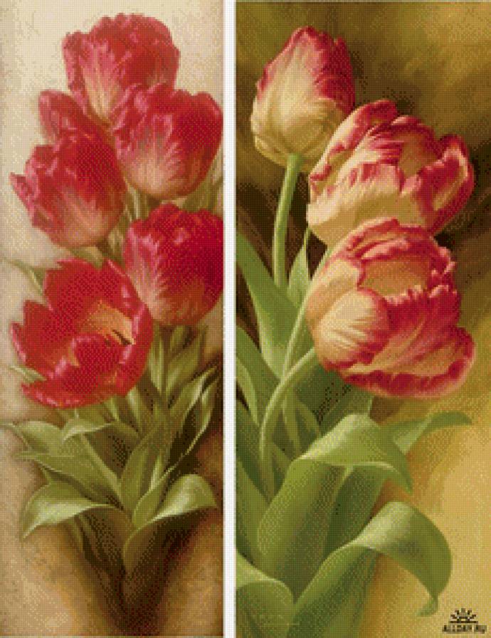 тюльпаны - предпросмотр