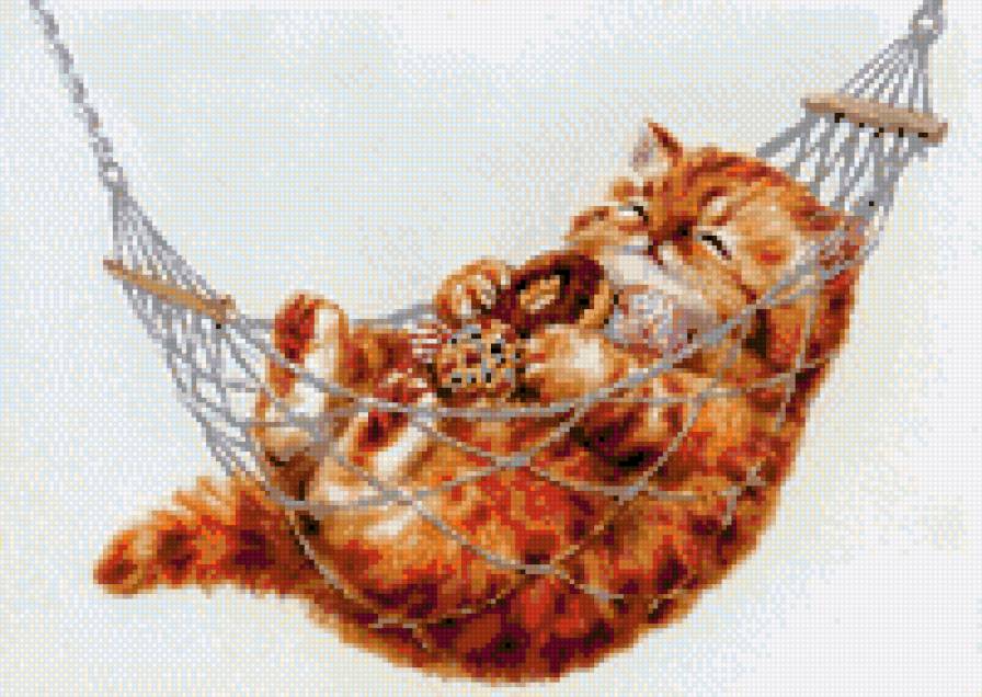 Котик - коты - предпросмотр