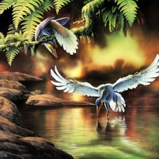 Схема вышивки «Птицы»