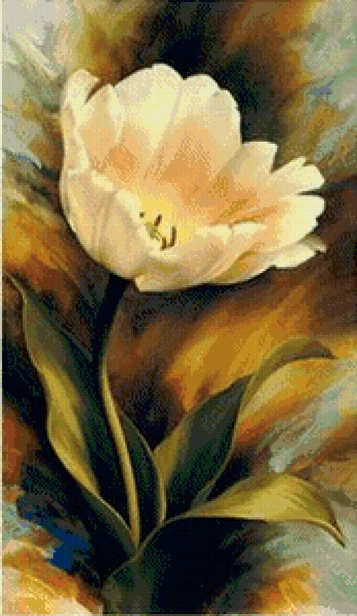 Тюльпан - цветы, тюльпан - предпросмотр