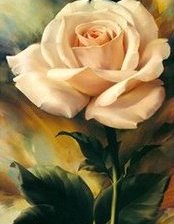 Схема вышивки «Роза»