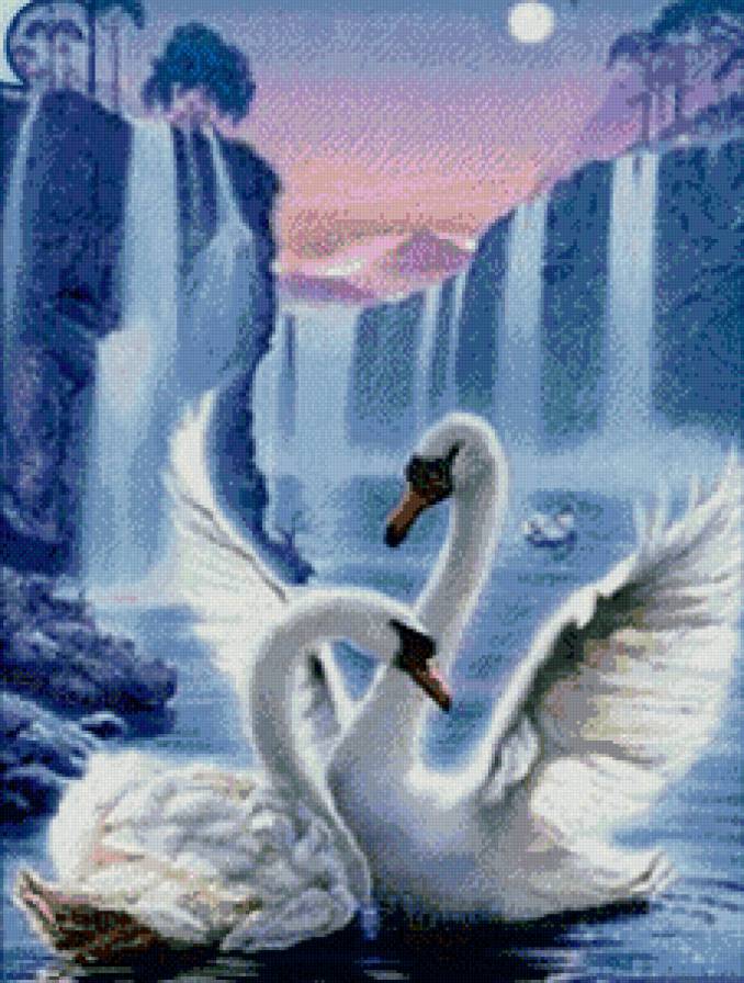 Лебеди - лебеди, животные - предпросмотр