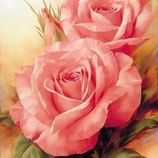 Схема вышивки «Розы»