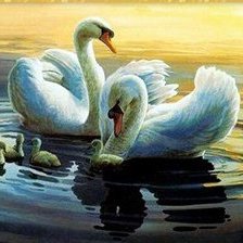 Схема вышивки «Лебеди»