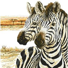 Схема вышивки «Зебра»