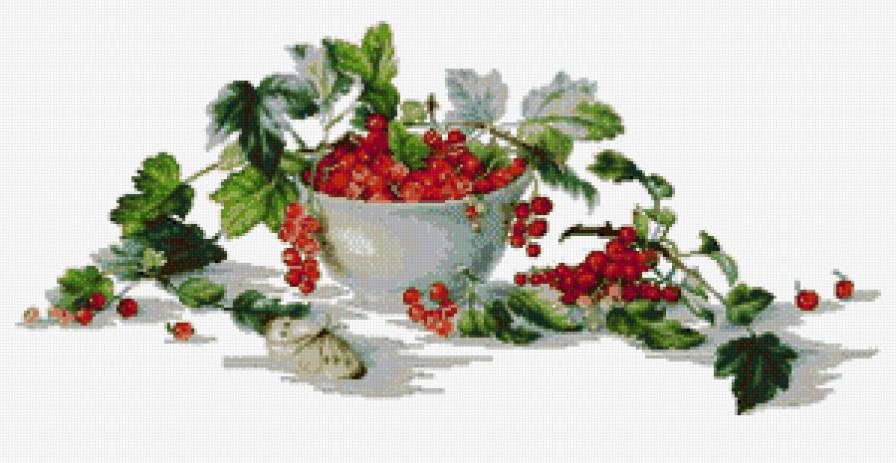 рябина - рябина, натюрморт - предпросмотр