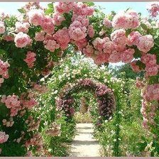 Розовые врата