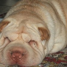 Схема вышивки «Маська»