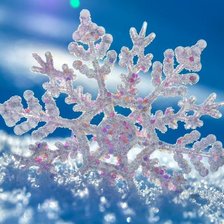 Схема вышивки «№773713»