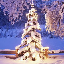 Схема вышивки «№773716»