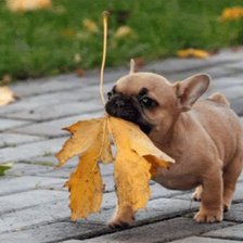 Схема вышивки «листок»