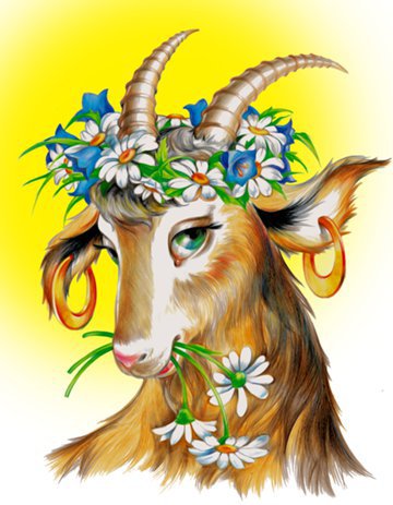 коза - оригинал