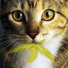 Схема вышивки «да-да»