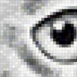 Предпросмотр схемы вышивки «СОВА» (№774149)
