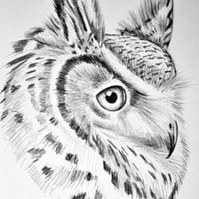 Схема вышивки «СОВА»