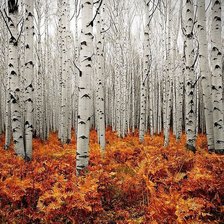 времена года