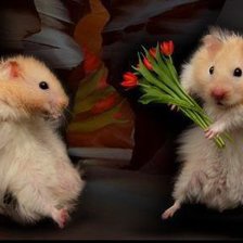 Схема вышивки «хома пупсик»