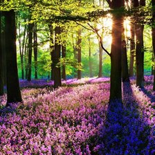 Схема вышивки «№774329»