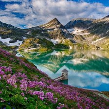 Схема вышивки «№774330»