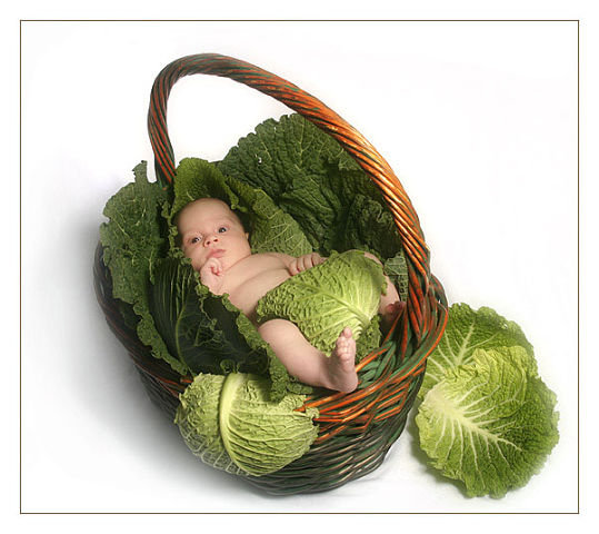 А меня нашли в капусте - дети, метрика на рождение - оригинал