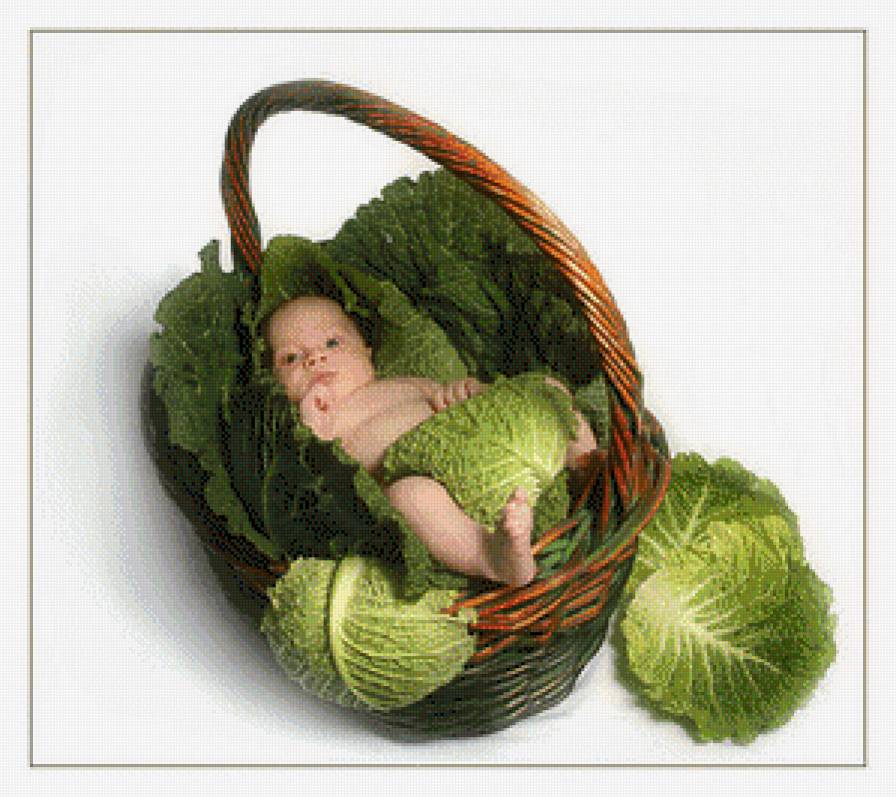 А меня нашли в капусте - дети, метрика на рождение - предпросмотр