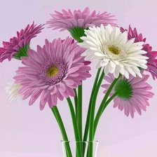 Схема вышивки «№774498»