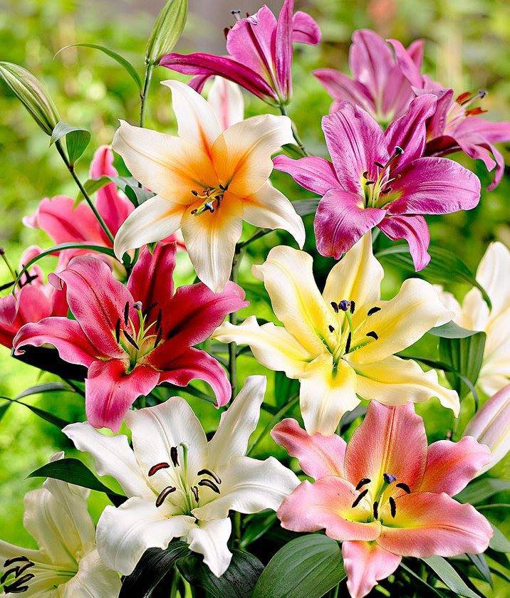 №774553 - оригинал