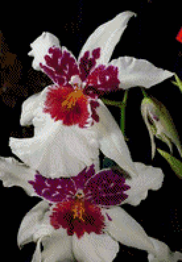 №774560 - предпросмотр