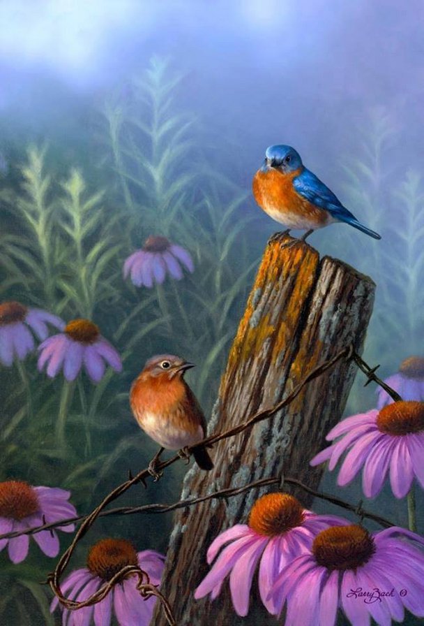 №774562 - оригинал