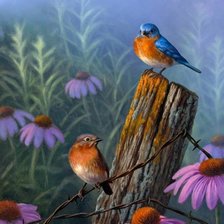 Схема вышивки «№774562»